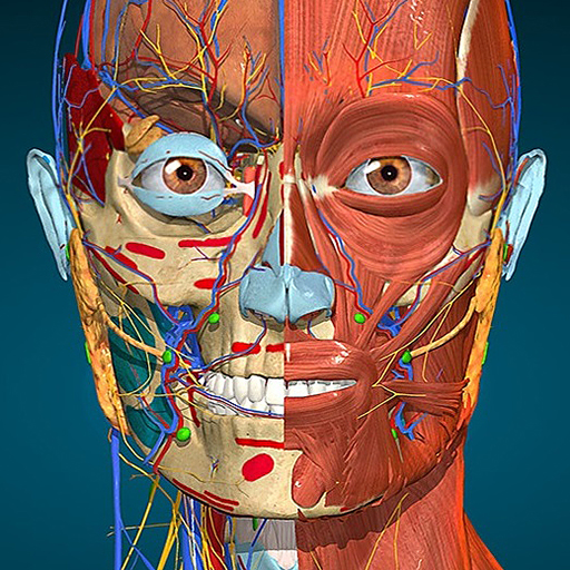 Anatomy Learning v2.1.441 APK MOD (Unlimited Money)