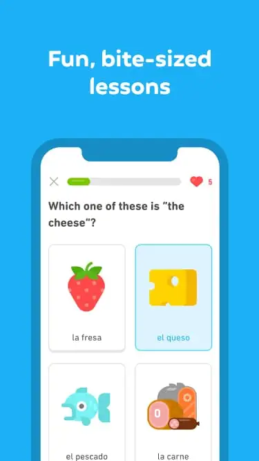 Duolingo Language Lessons 2